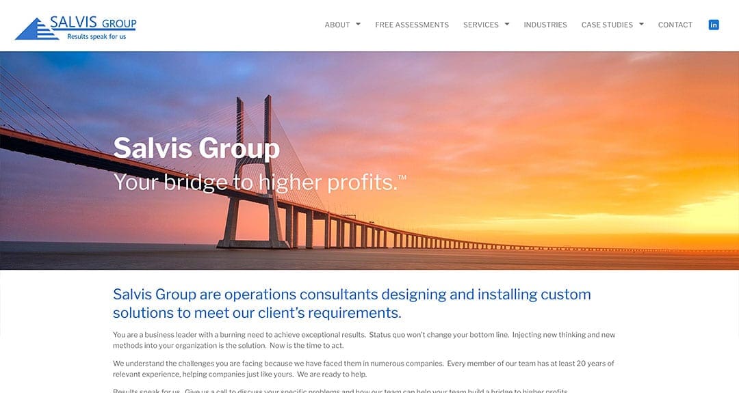 salvis Salvis Group
