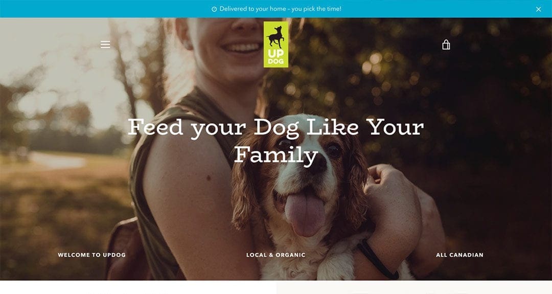 UPDOG: our latest e-commerce website